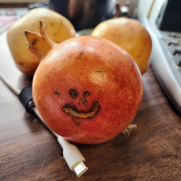 Meet your Posher, Kae - Picture 1 of 1